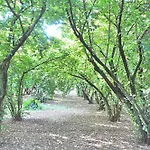 Holiday home Montecasciano - Lavanda