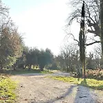 Montecasciano - Lavanda Holiday home *