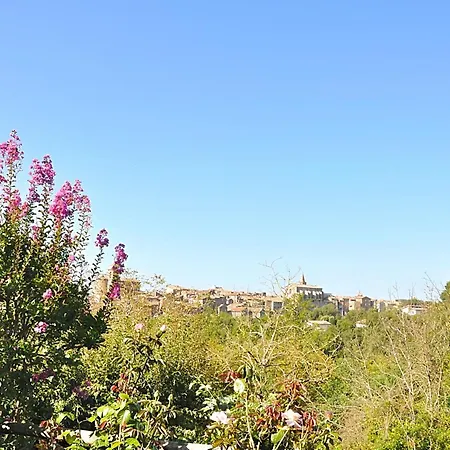 Holiday home Montecasciano Lavanda *