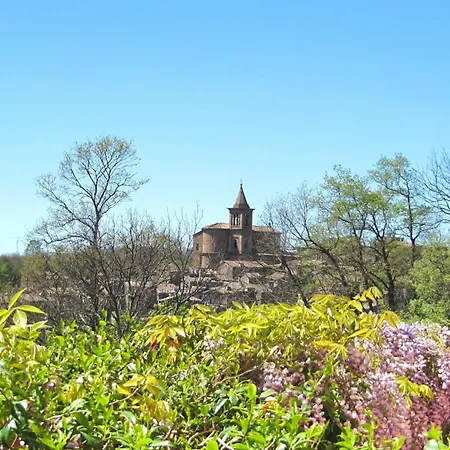 Montecasciano - Lavanda