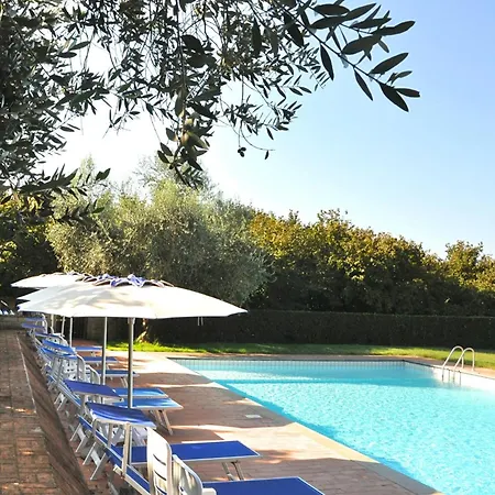 Montecasciano - Lavanda *