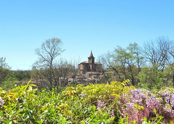 Montecasciano - Lavanda